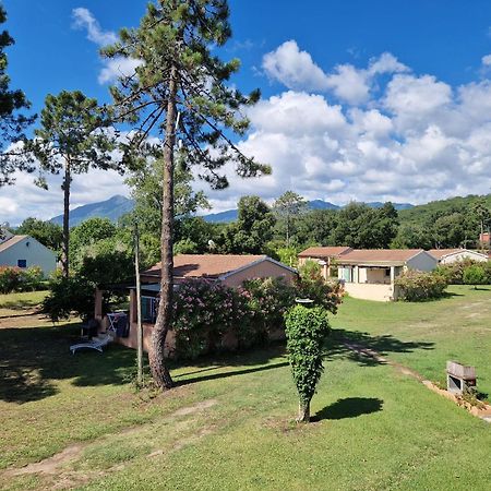 Pinea Mare Hotel Poggio Mezzana Екстериор снимка