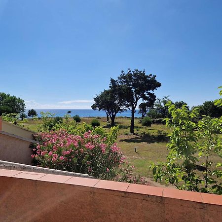 Pinea Mare Hotel Poggio Mezzana Екстериор снимка