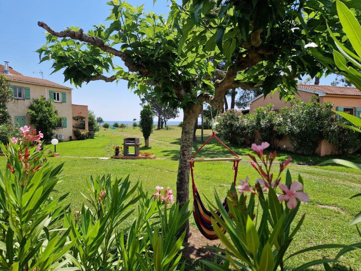 Pinea Mare Hotel Poggio Mezzana Екстериор снимка