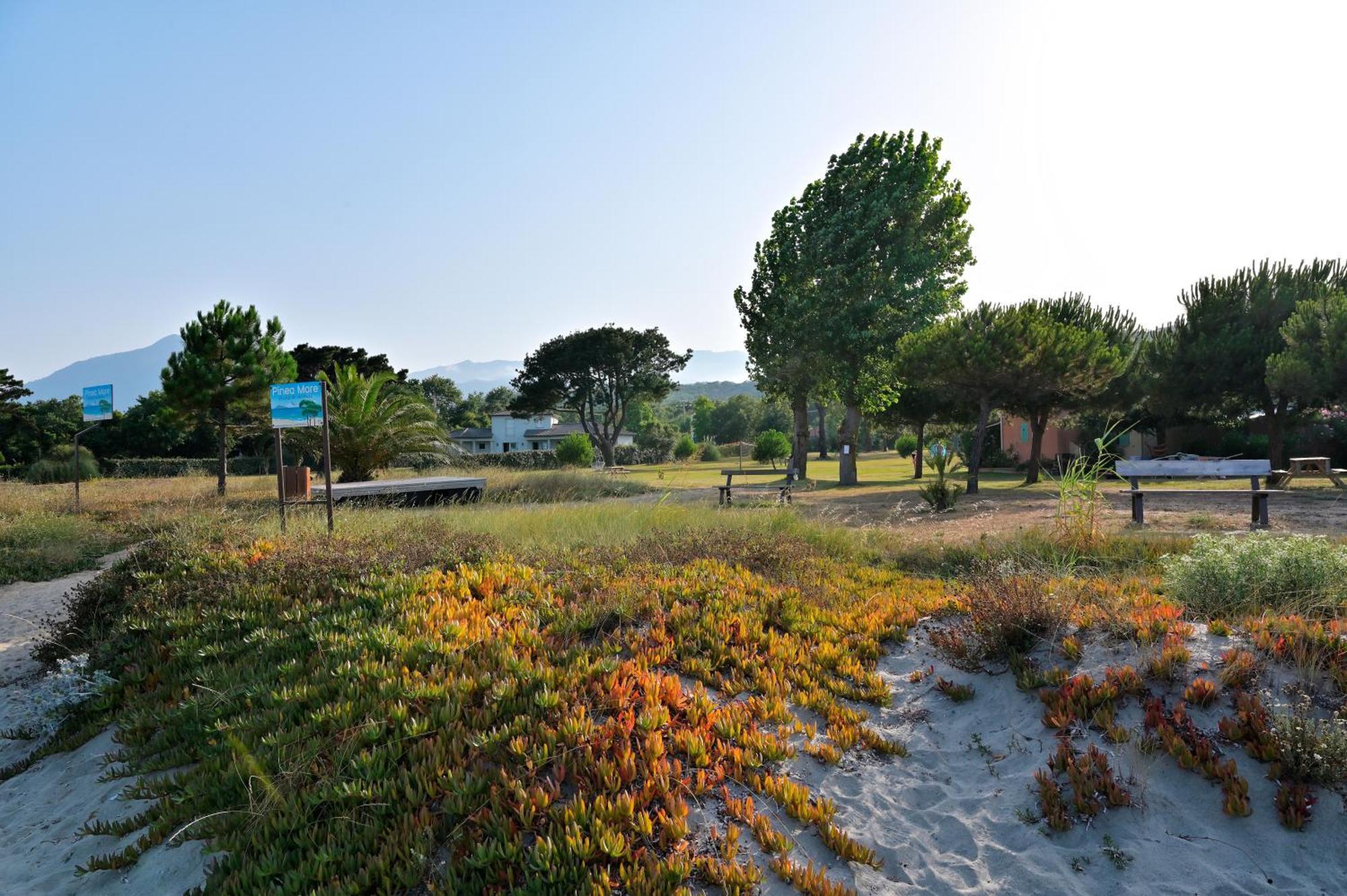 Pinea Mare Hotel Poggio Mezzana Екстериор снимка