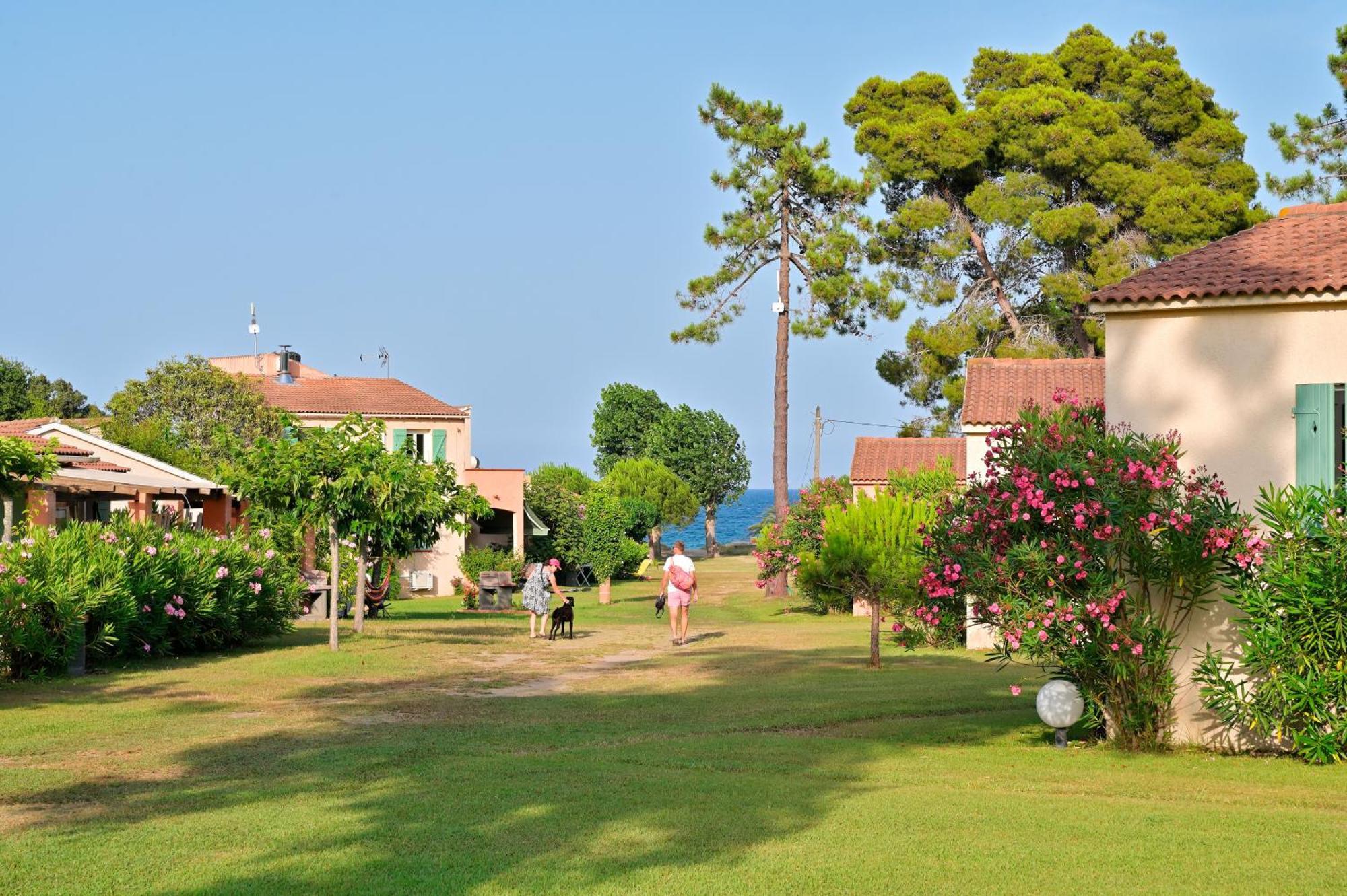 Pinea Mare Hotel Poggio Mezzana Екстериор снимка
